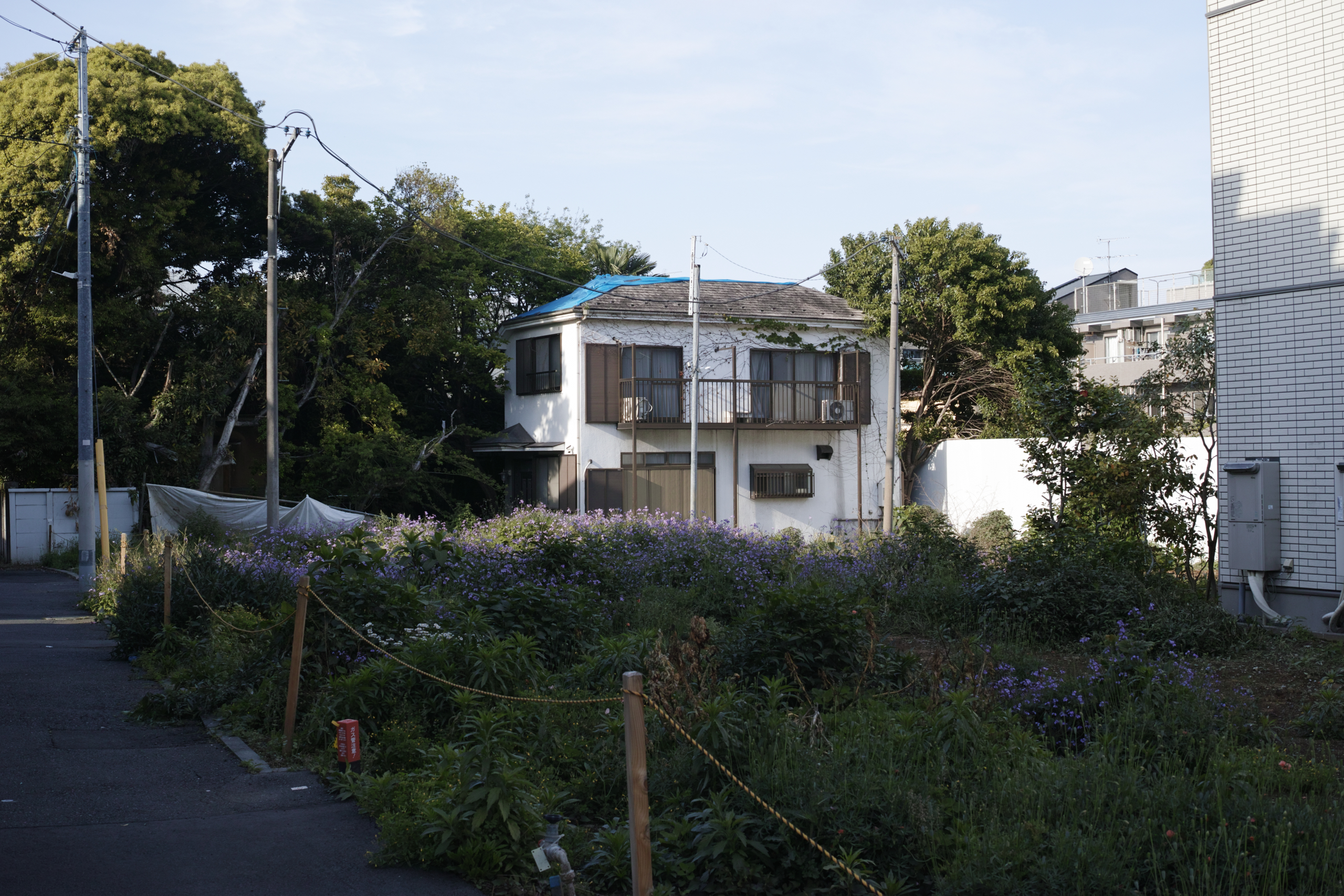 Shimo-Kitazawa, Akebonobashi, Iidabashi_Img