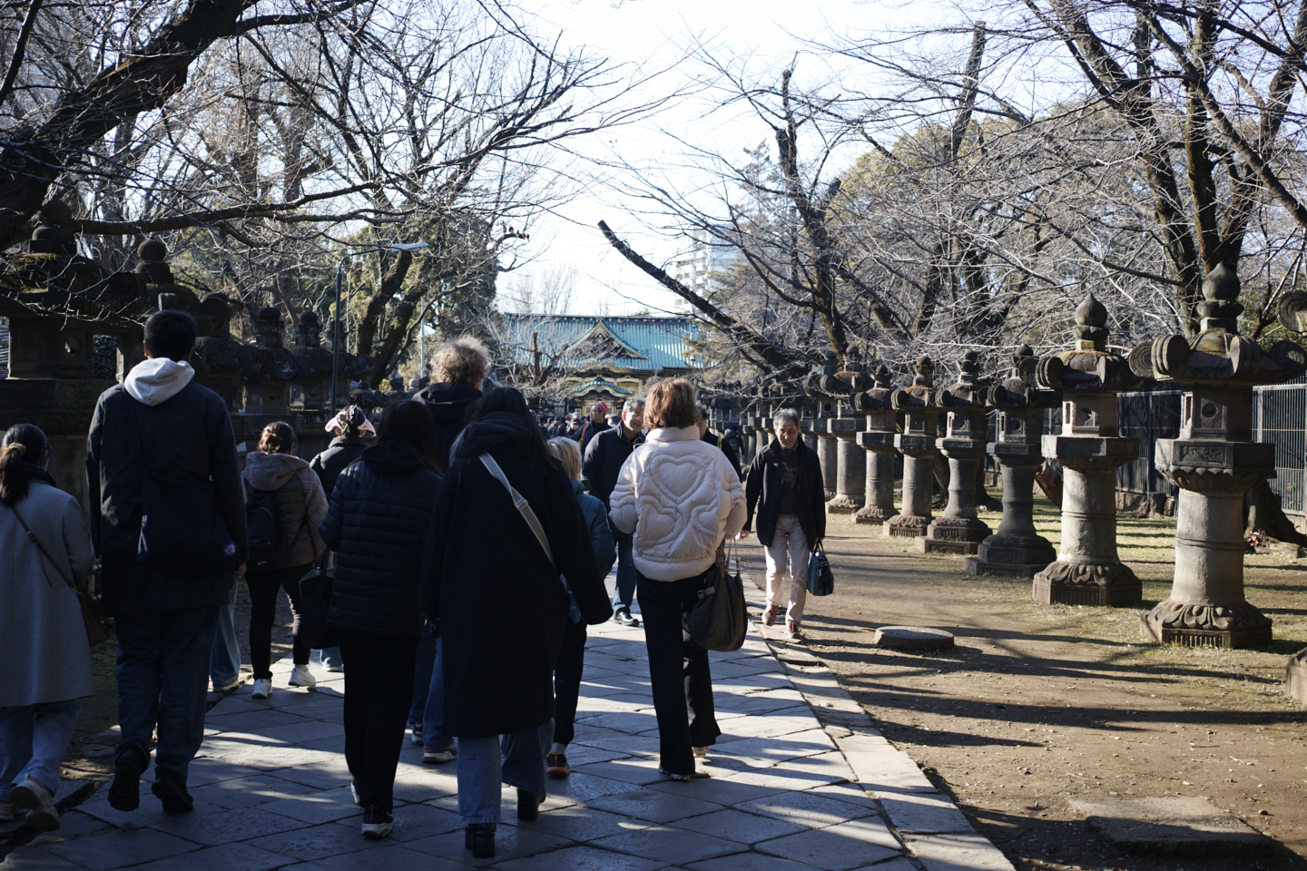 Shinjuku, Ueno, Nezu_Img