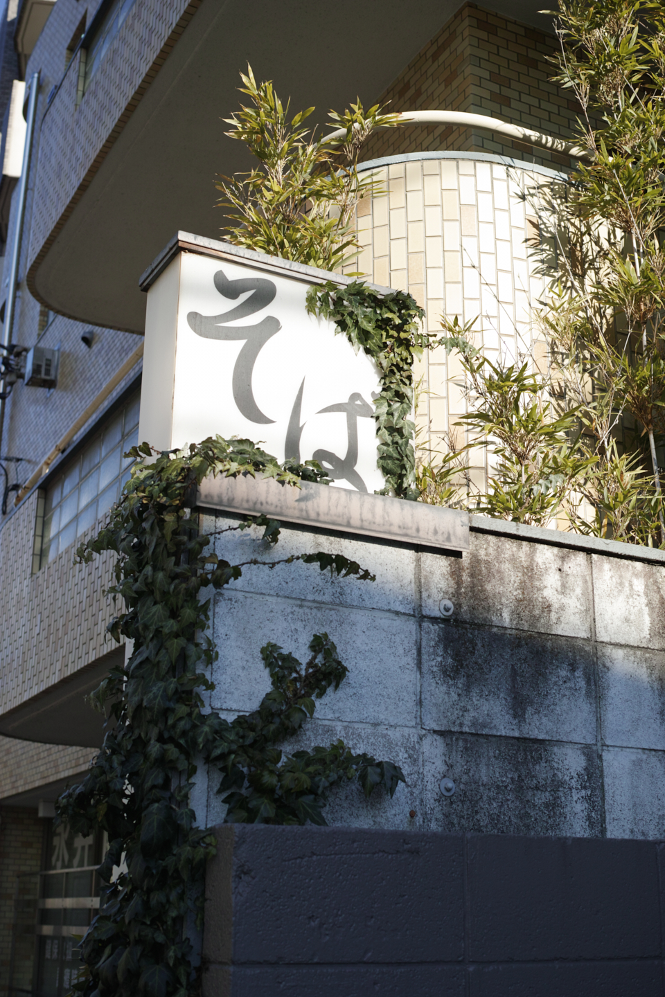Shinjuku, Ueno, Nezu_Img
