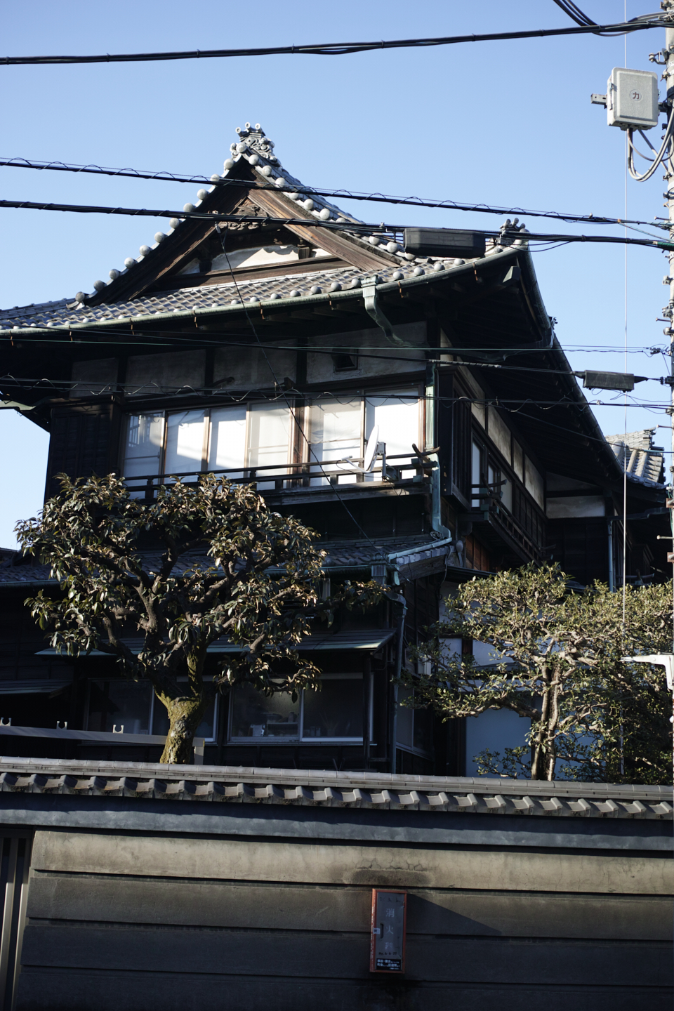 Shinjuku, Ueno, Nezu_Img