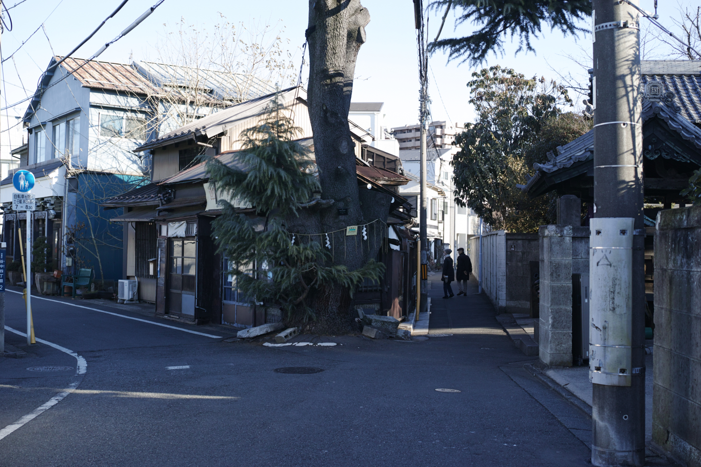 Shinjuku, Ueno, Nezu_Img