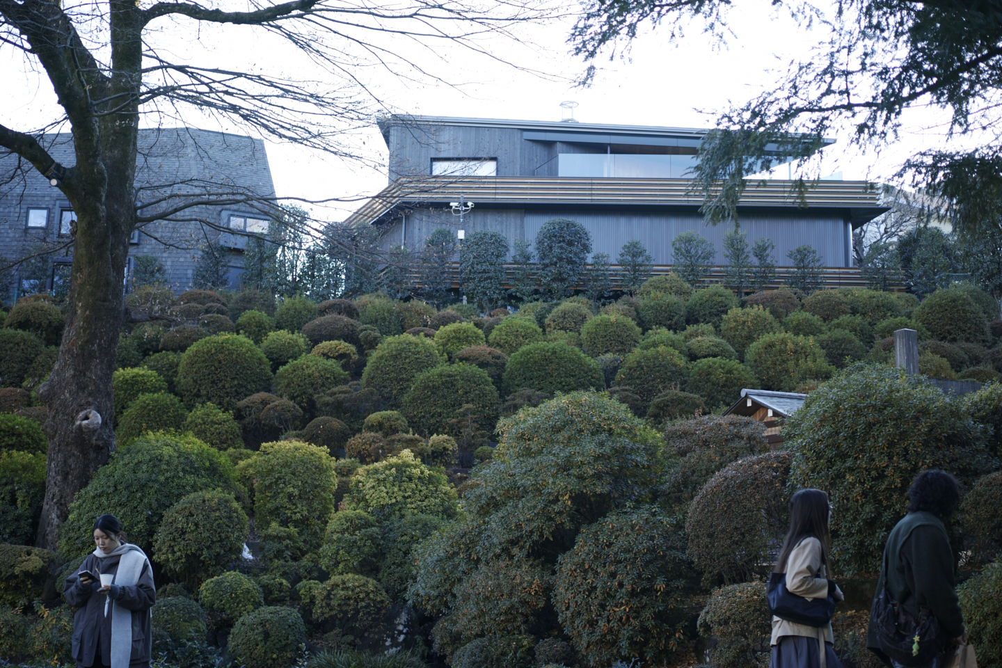 Shinjuku, Ueno, Nezu_Img
