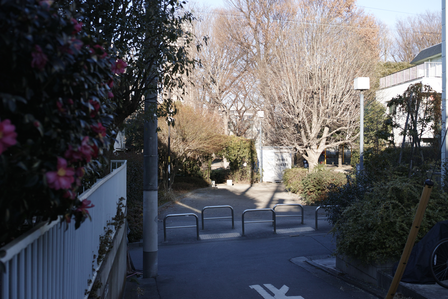 Nakameguro, Yutenji, Shinsen_Img