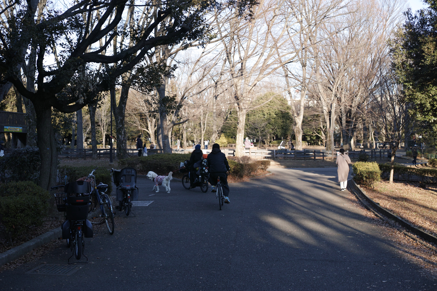Nakameguro, Yutenji, Shinsen_Img