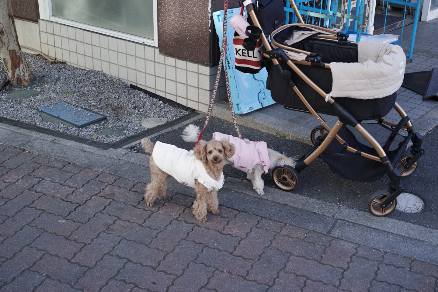 Chitose-Karasuyama, Nakano-Fujimicho_Img