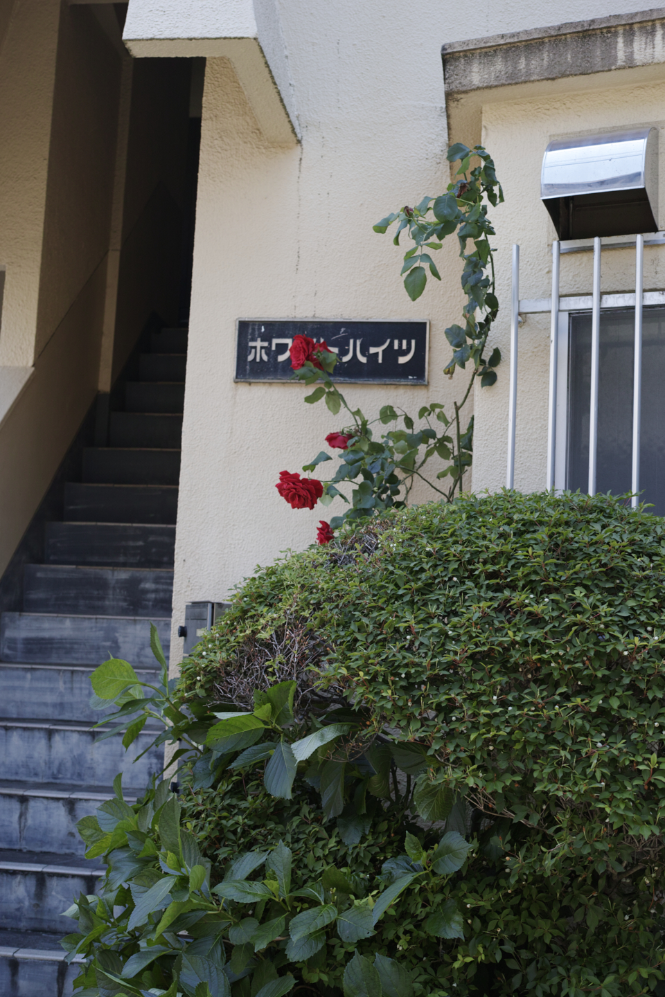 Yoyogi, Sendagaya_Img