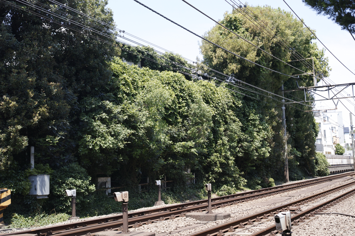 Yoyogi, Sendagaya_Img