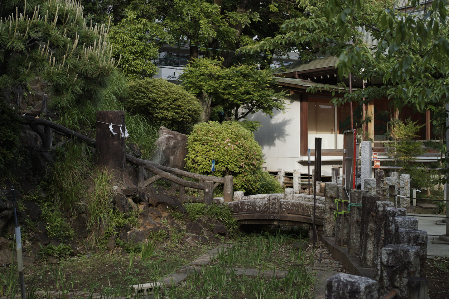 Yoyogi, Sendagaya_Img