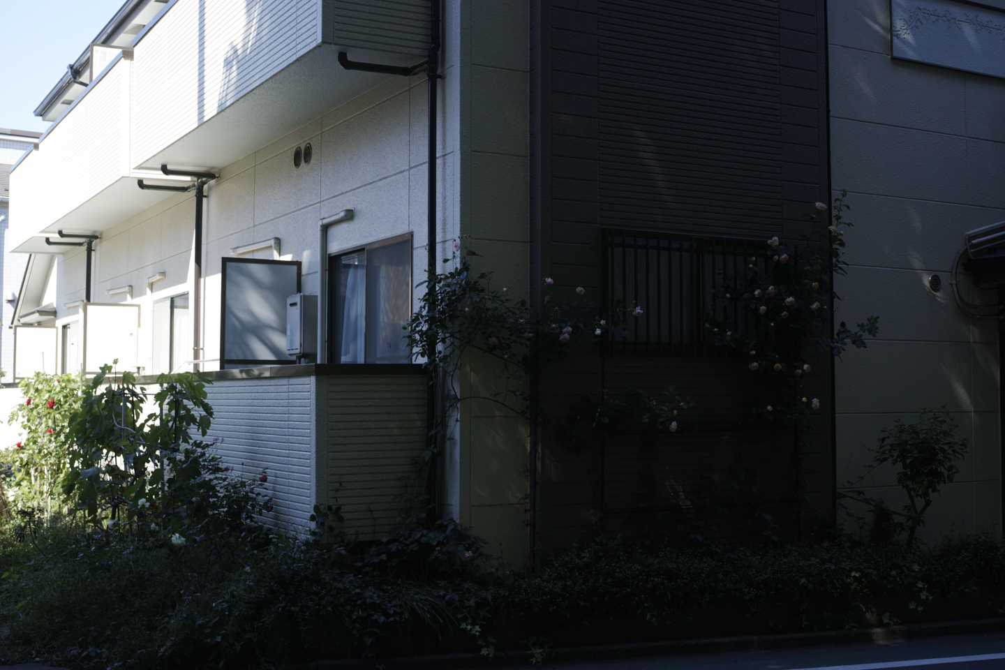 Eifukucho, Horinouchi, Wada_Img