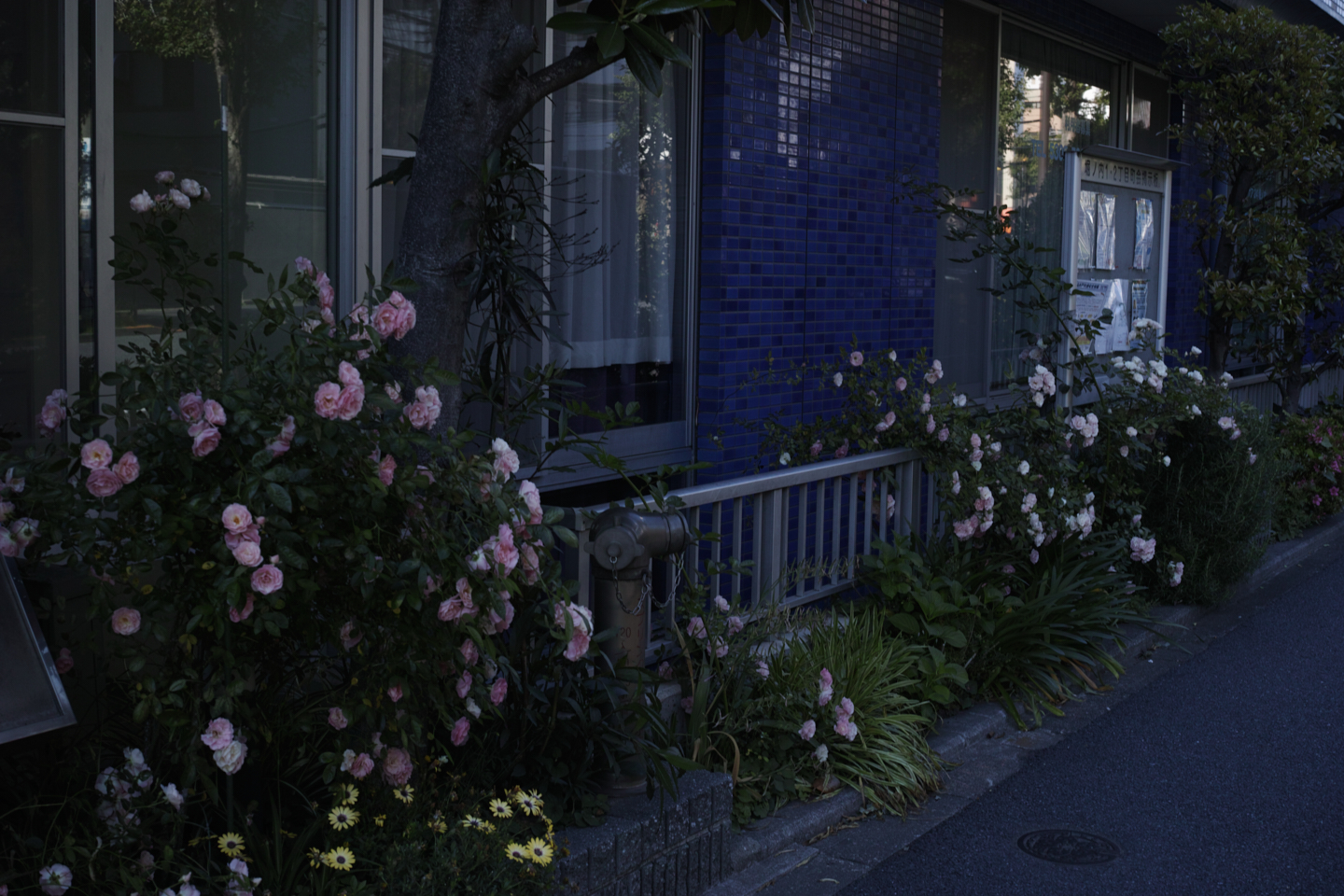 Eifukucho, Horinouchi, Wada_Img