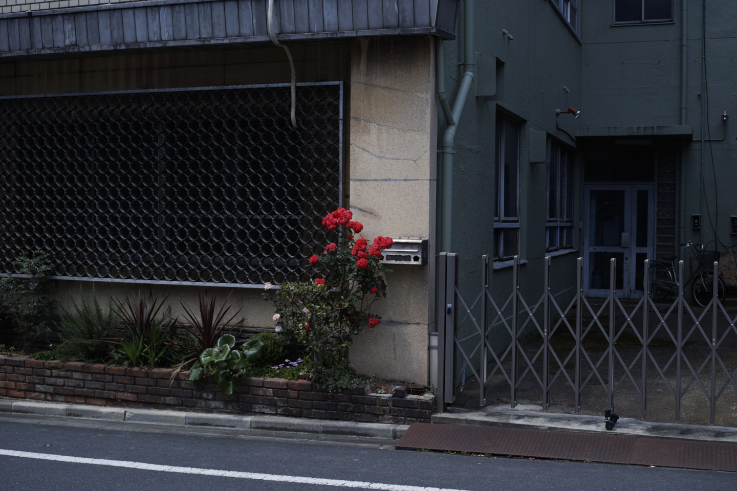 Kinshicho, Ryogoku_Img