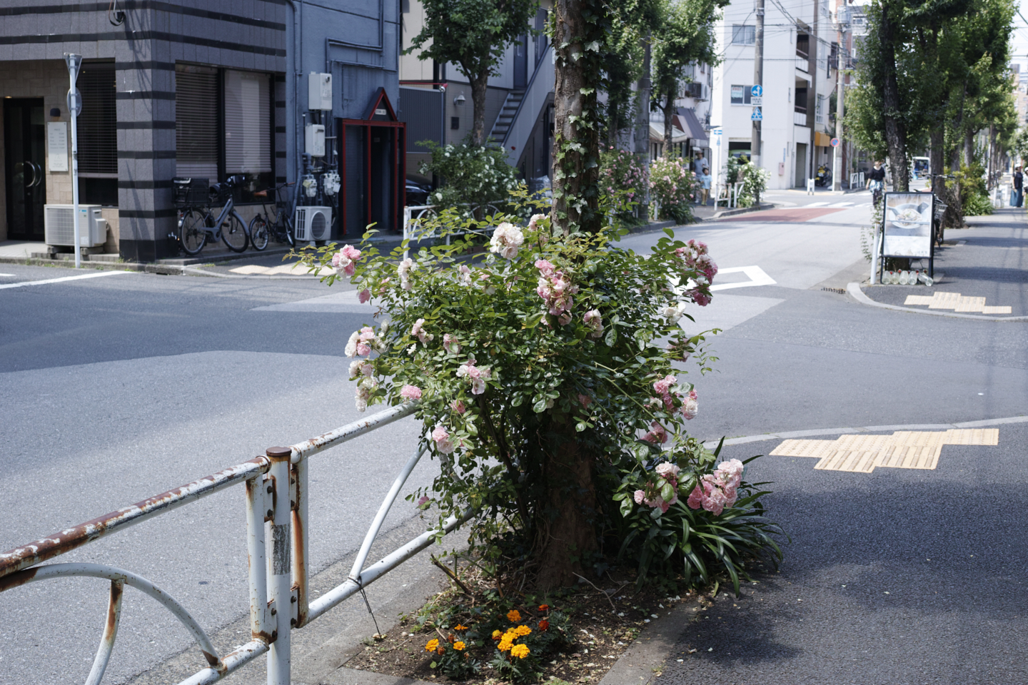 Kinshicho, Ryogoku_Img