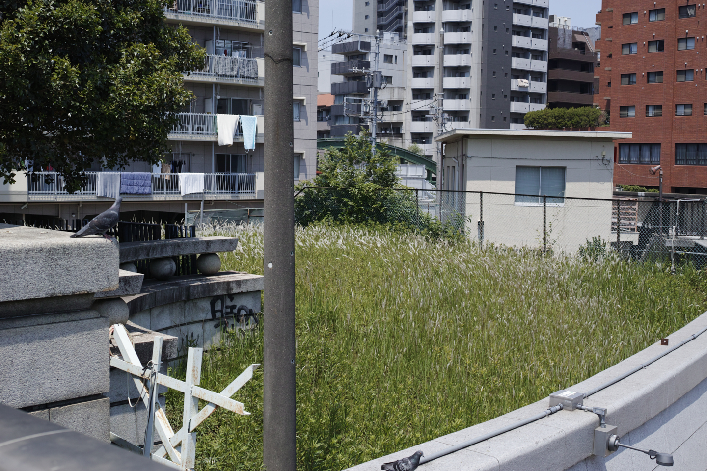 Kinshicho, Ryogoku_Img