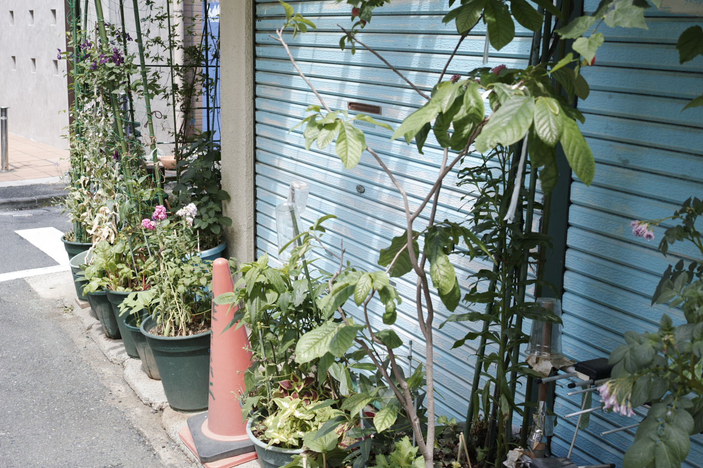 Hatsudai, Hatagaya, Shibuya, etc_Img