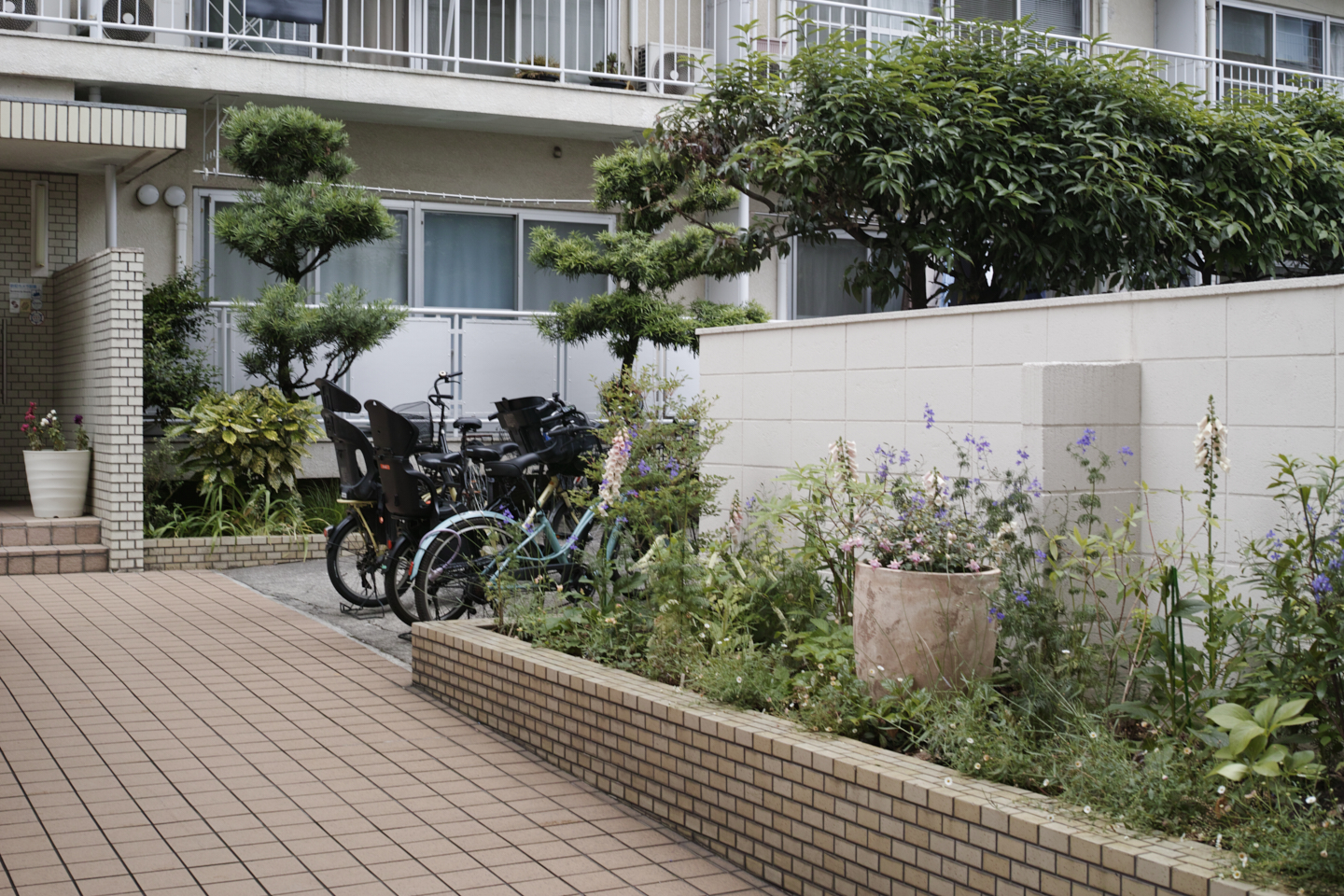 Hatsudai, Hatagaya, Shibuya, etc_Img