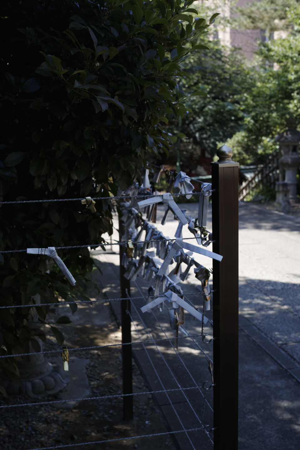 Yotsuya, Yurakucho, Shinjuku_Img