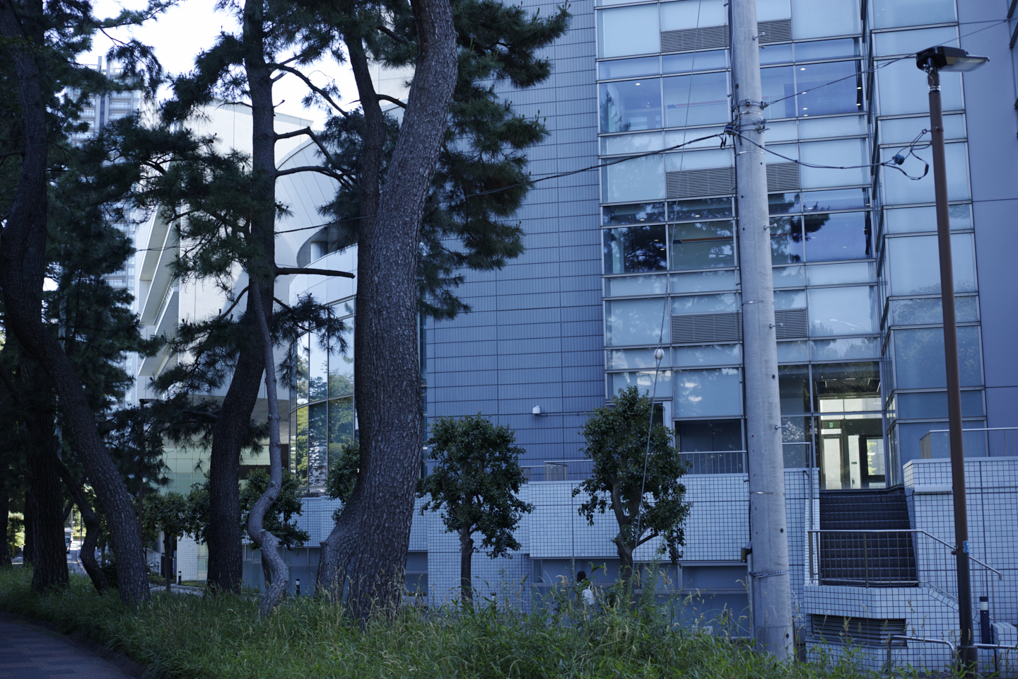 Yotsuya, Yurakucho, Shinjuku_Img