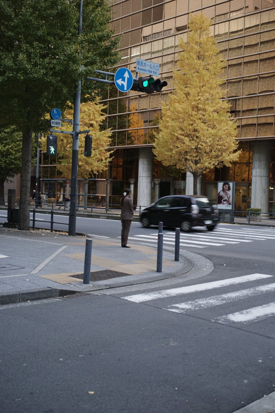 Motomachi-Chukagai, Noge,  Minatomirai_Img