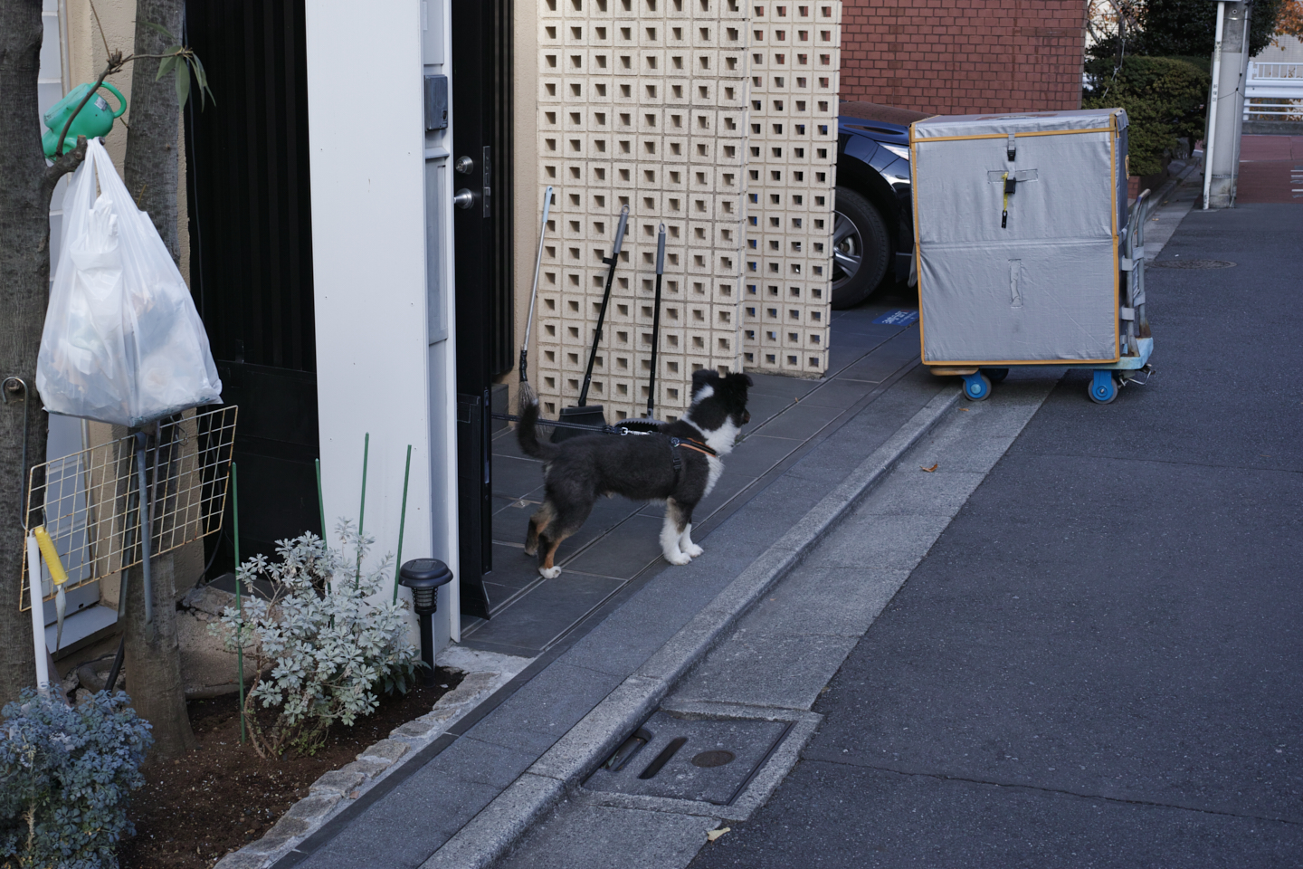 Jimbocho, Nezu, Osaki, Meguro_Img