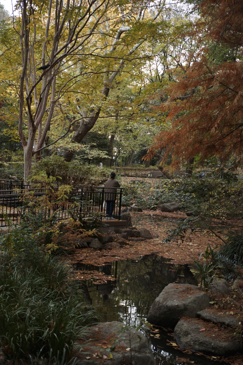 Jimbocho, Nezu, Osaki, Meguro_Img