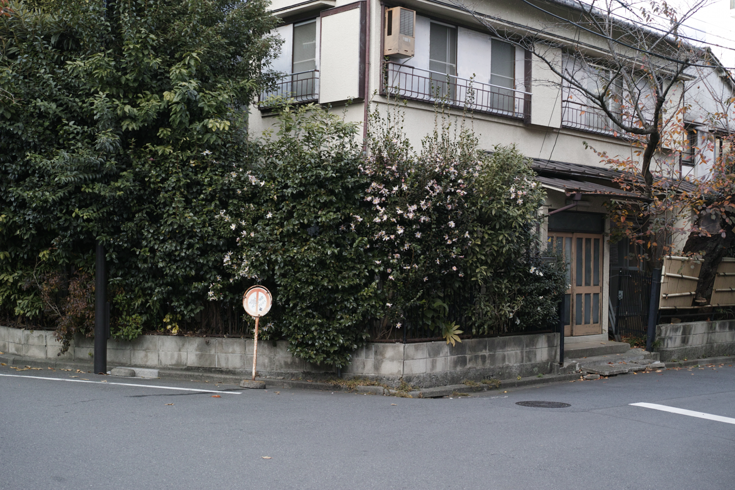 Kachidoki, Roppongi, Shinjuku_Img