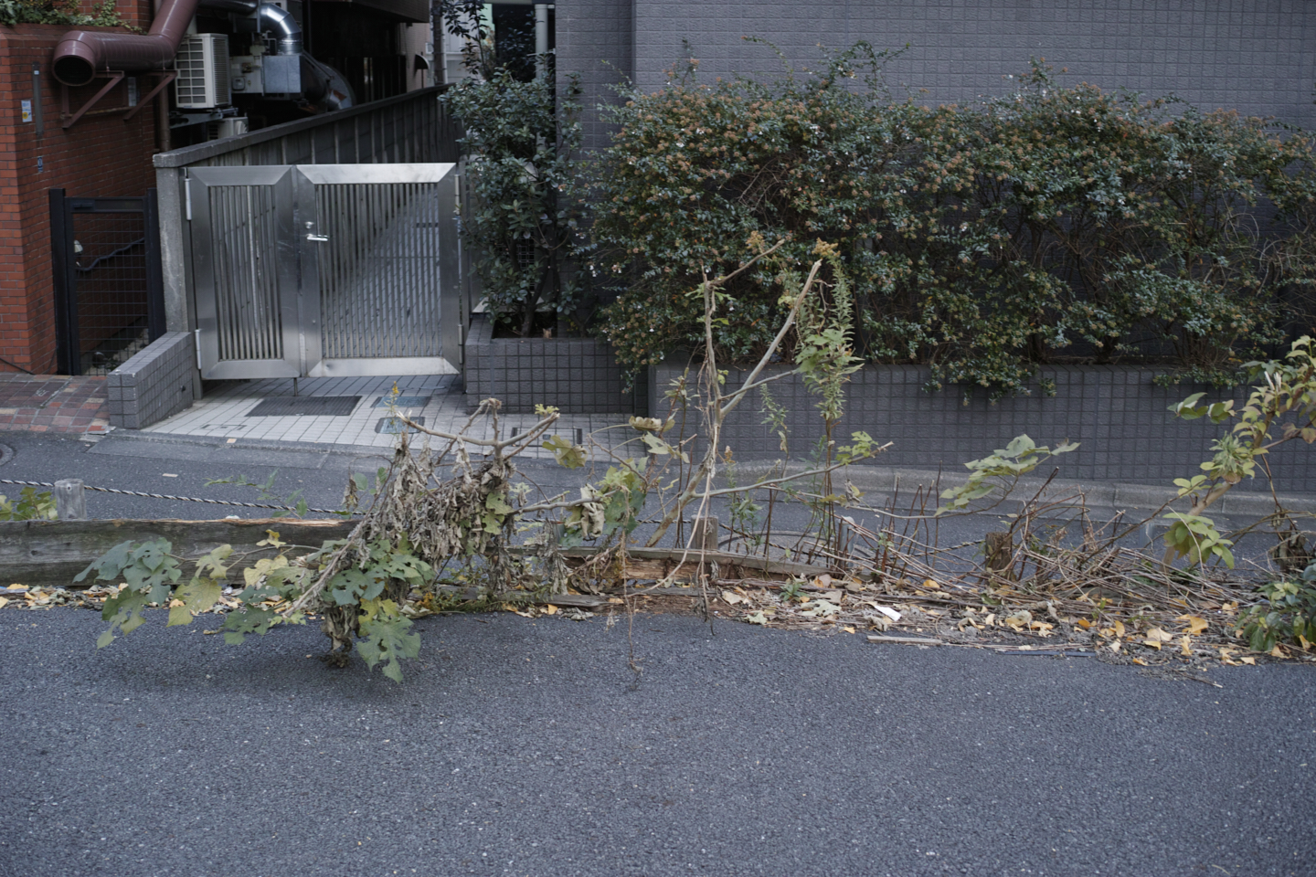 Kachidoki, Roppongi, Shinjuku_Img