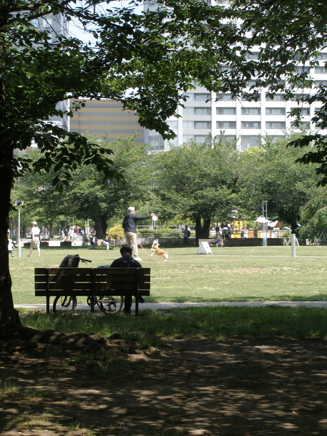 Kinshicho, Ryogoku_Img