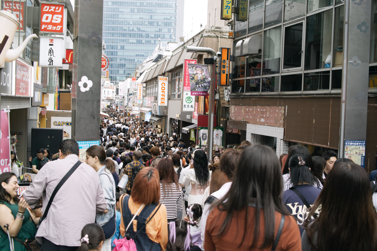 Hatsudai, Hatagaya, Shibuya, etc_Img