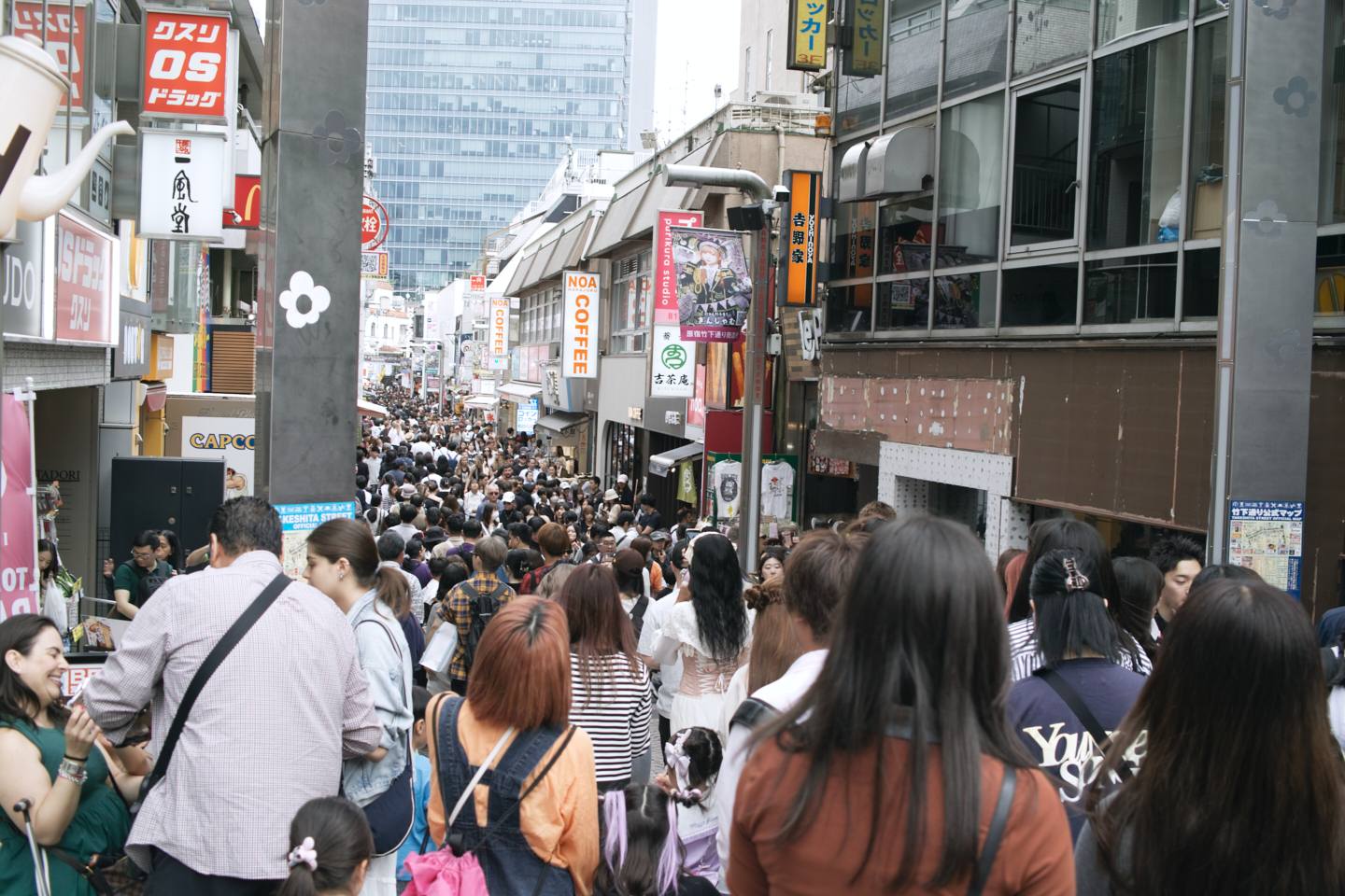 Hatsudai, Hatagaya, Shibuya, etc_Img