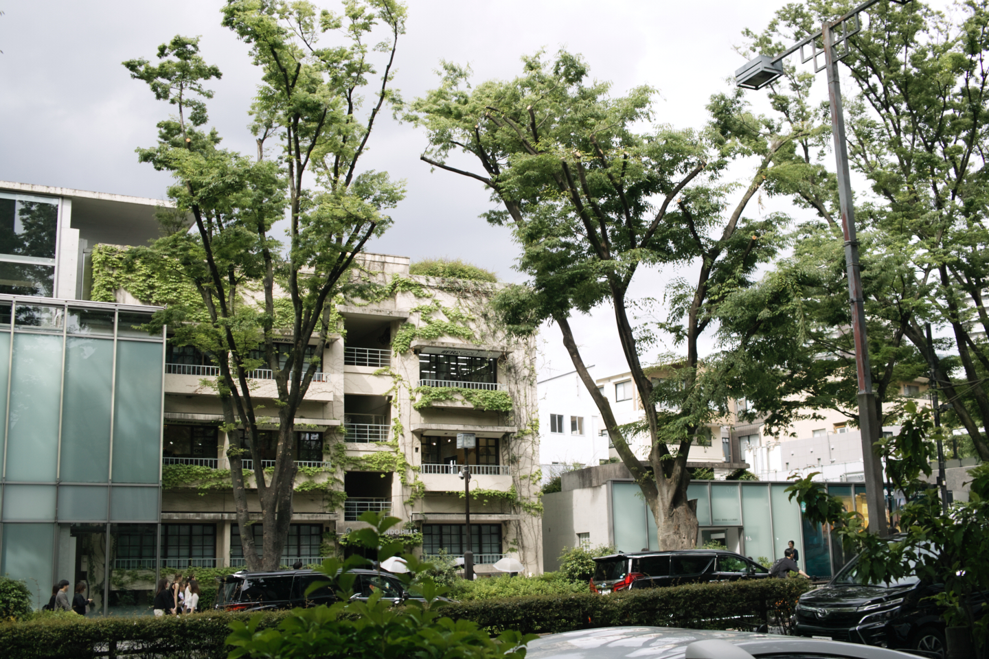 Hatsudai, Hatagaya, Shibuya, etc_Img