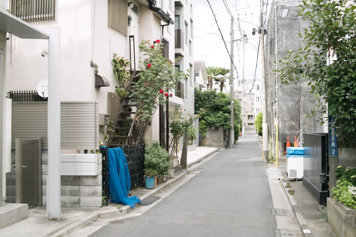 Hatsudai, Hatagaya, Shibuya, etc_Img