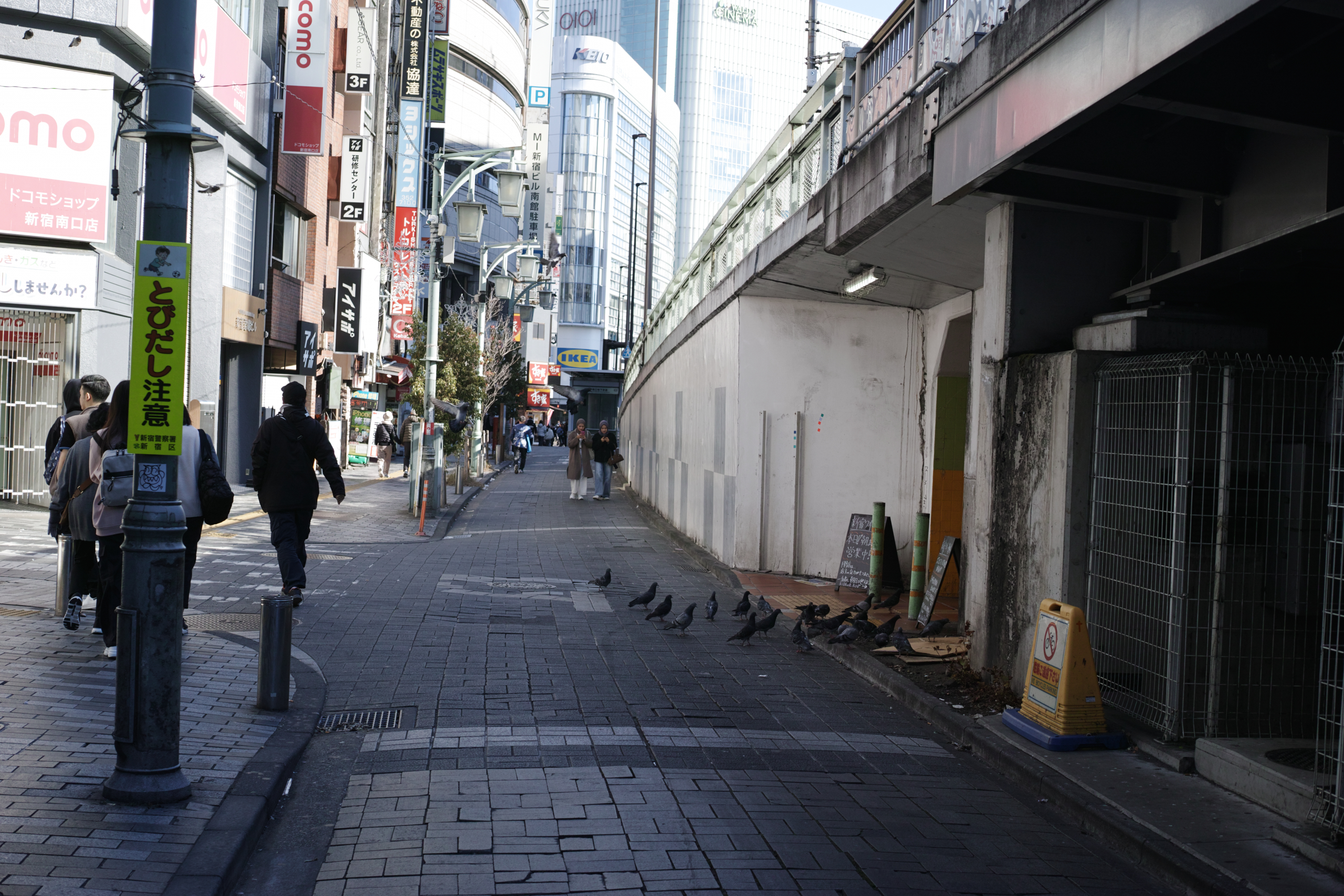Shinjuku, Ueno, Nezu_Img