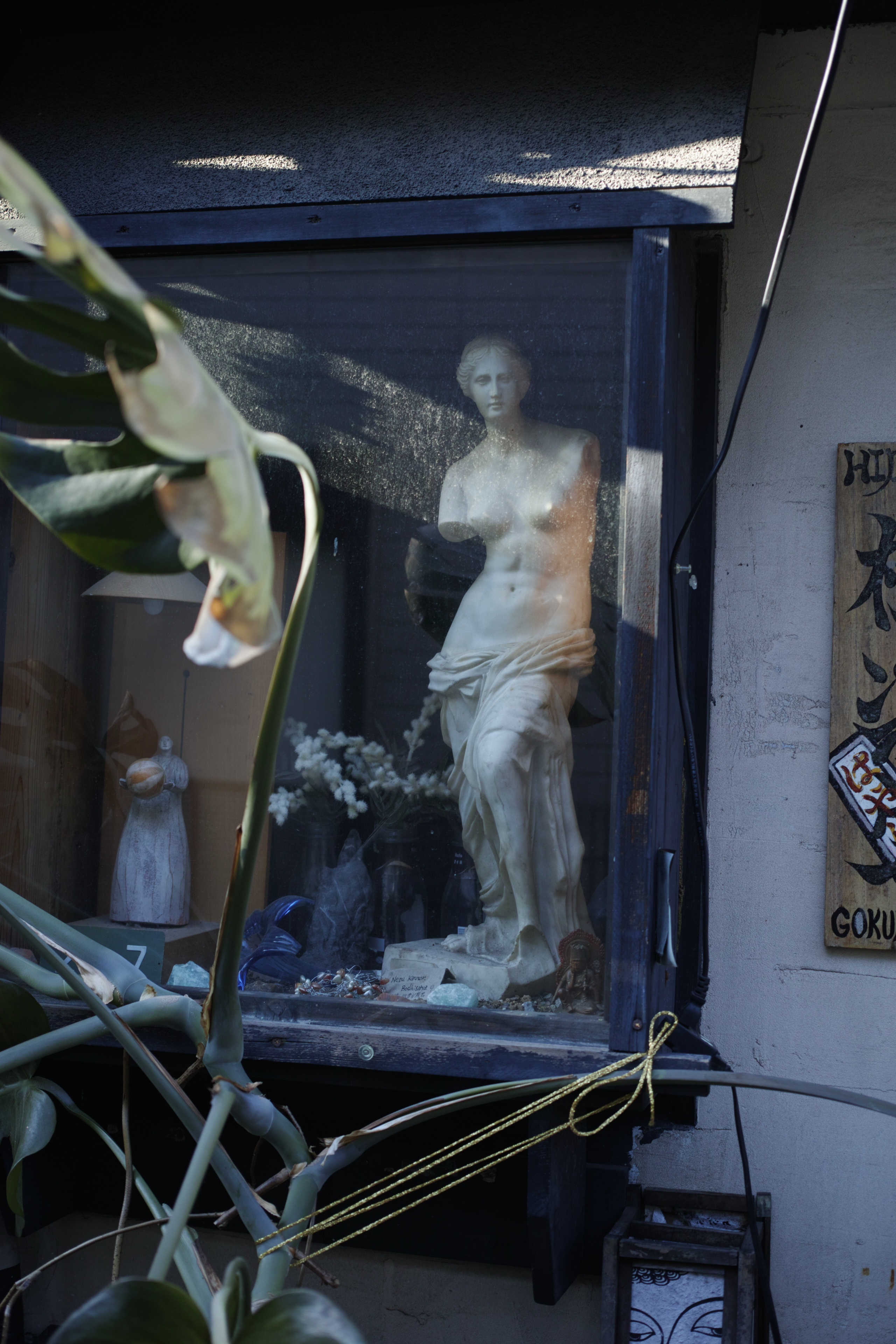 Shinjuku, Ueno, Nezu_Img