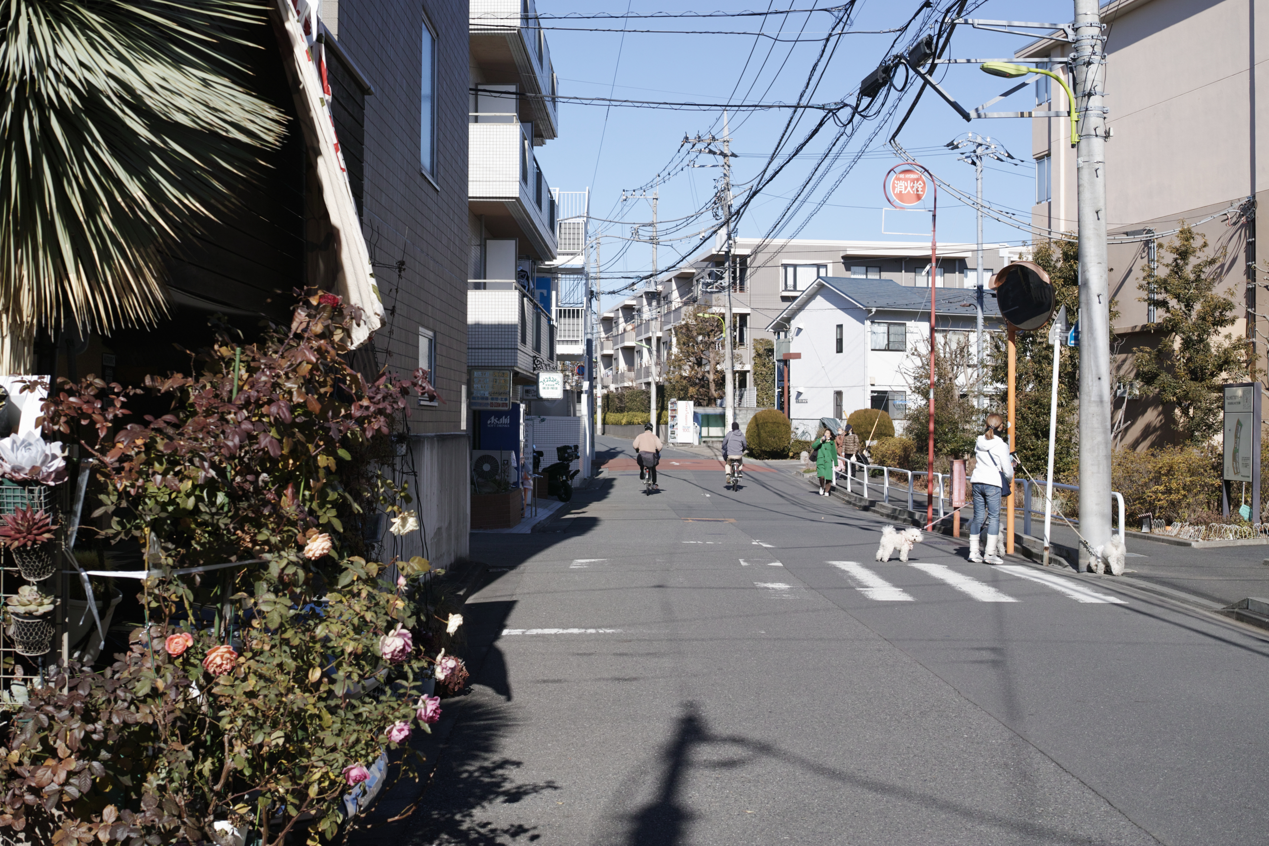 Chitose-Karasuyama, Nakano-Fujimicho_Img