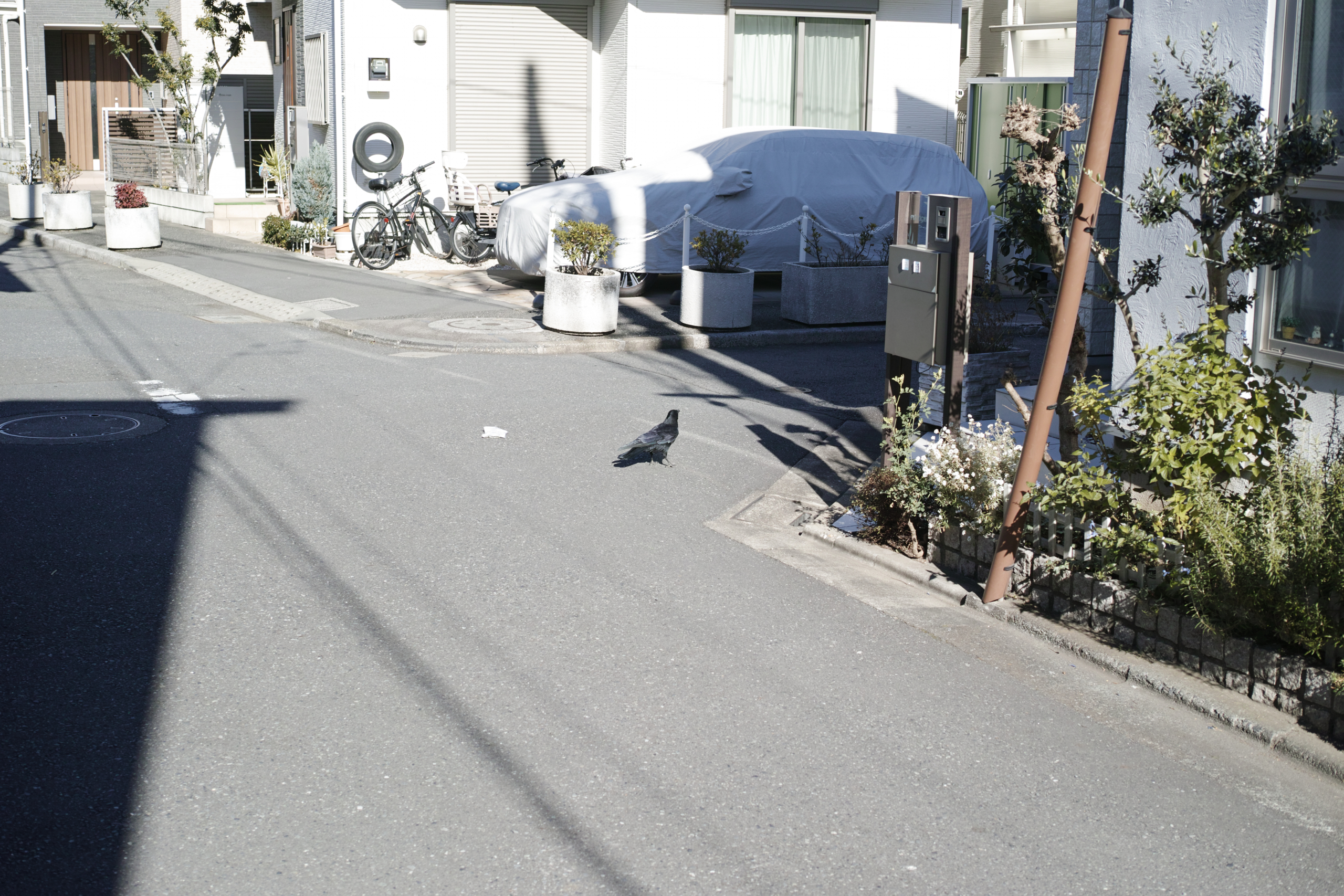 Chitose-Karasuyama, Nakano-Fujimicho_Img