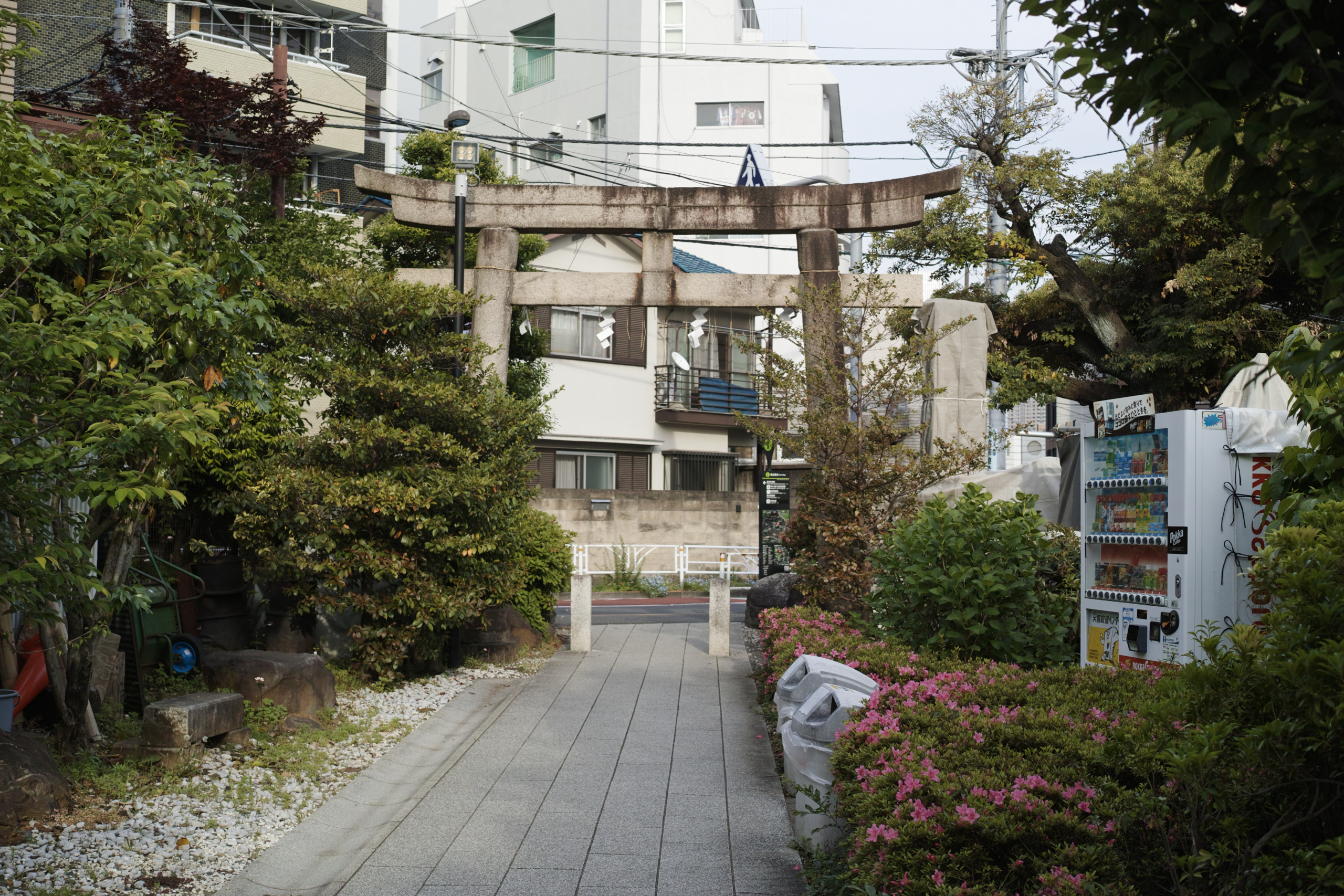 Yoyogi, Sendagaya_Img