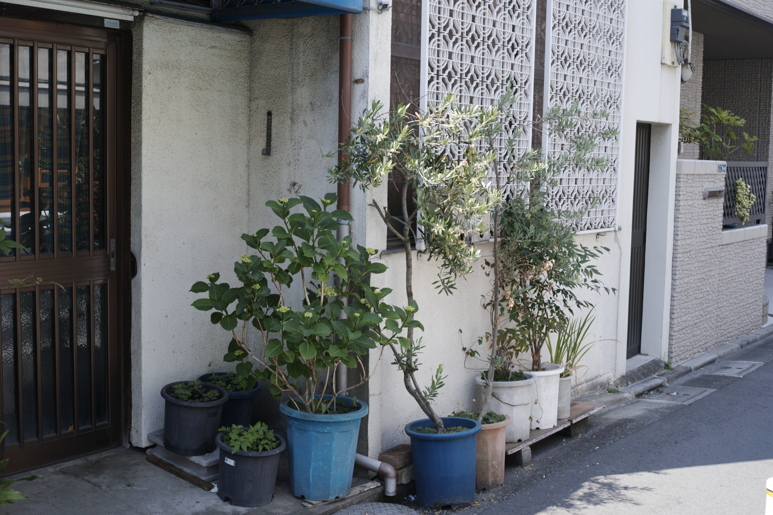 Kinshicho, Ryogoku_Img