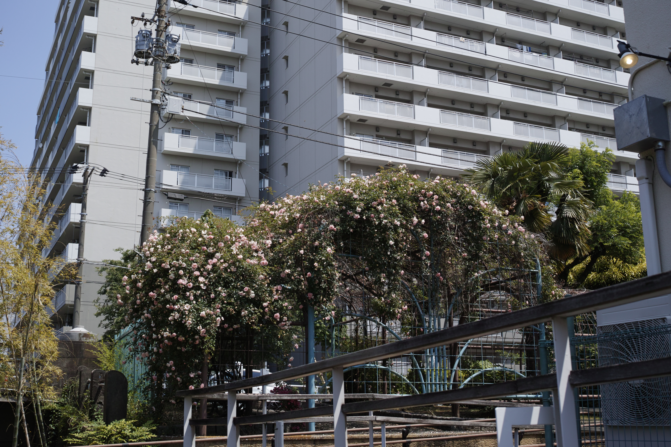 Kinshicho, Ryogoku_Img