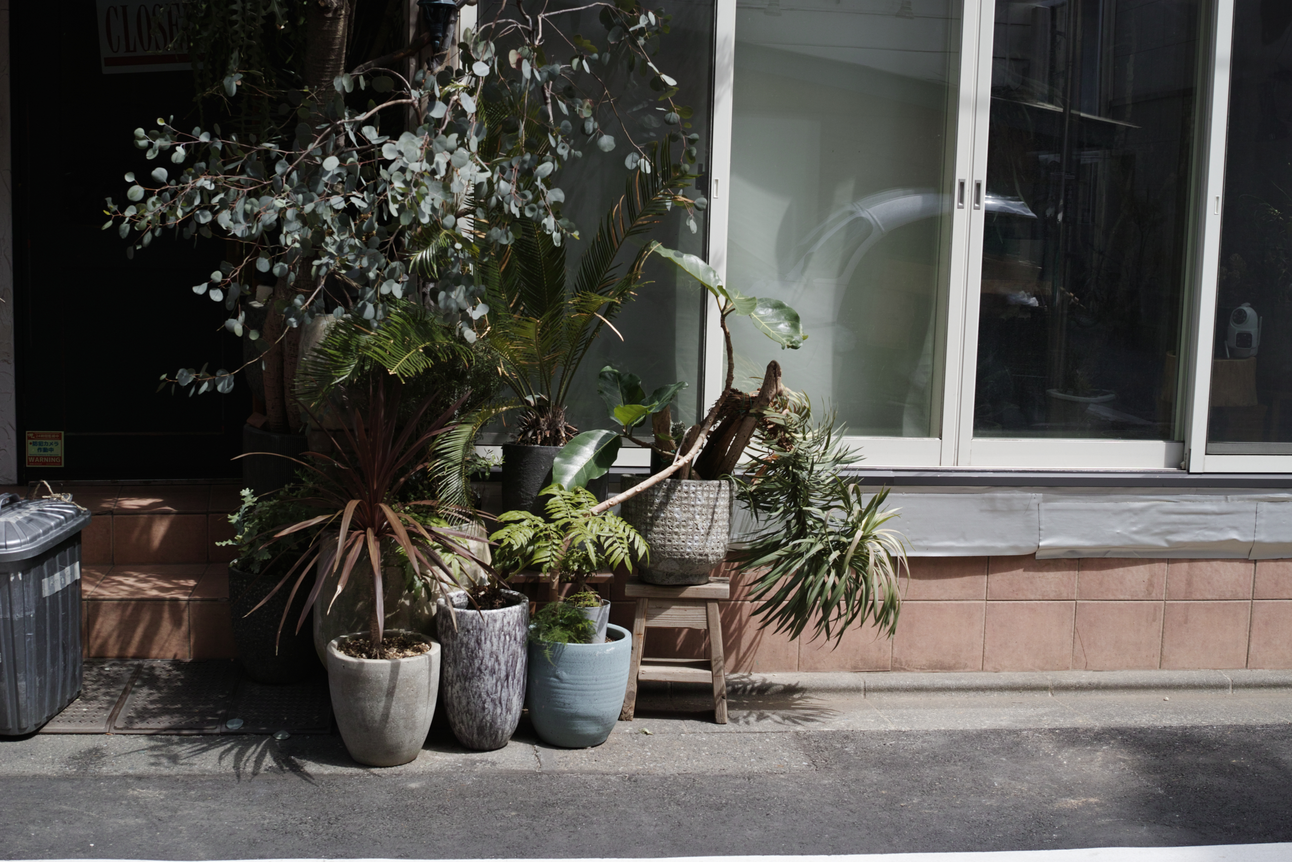 Hatsudai, Hatagaya, Shibuya, etc_Img
