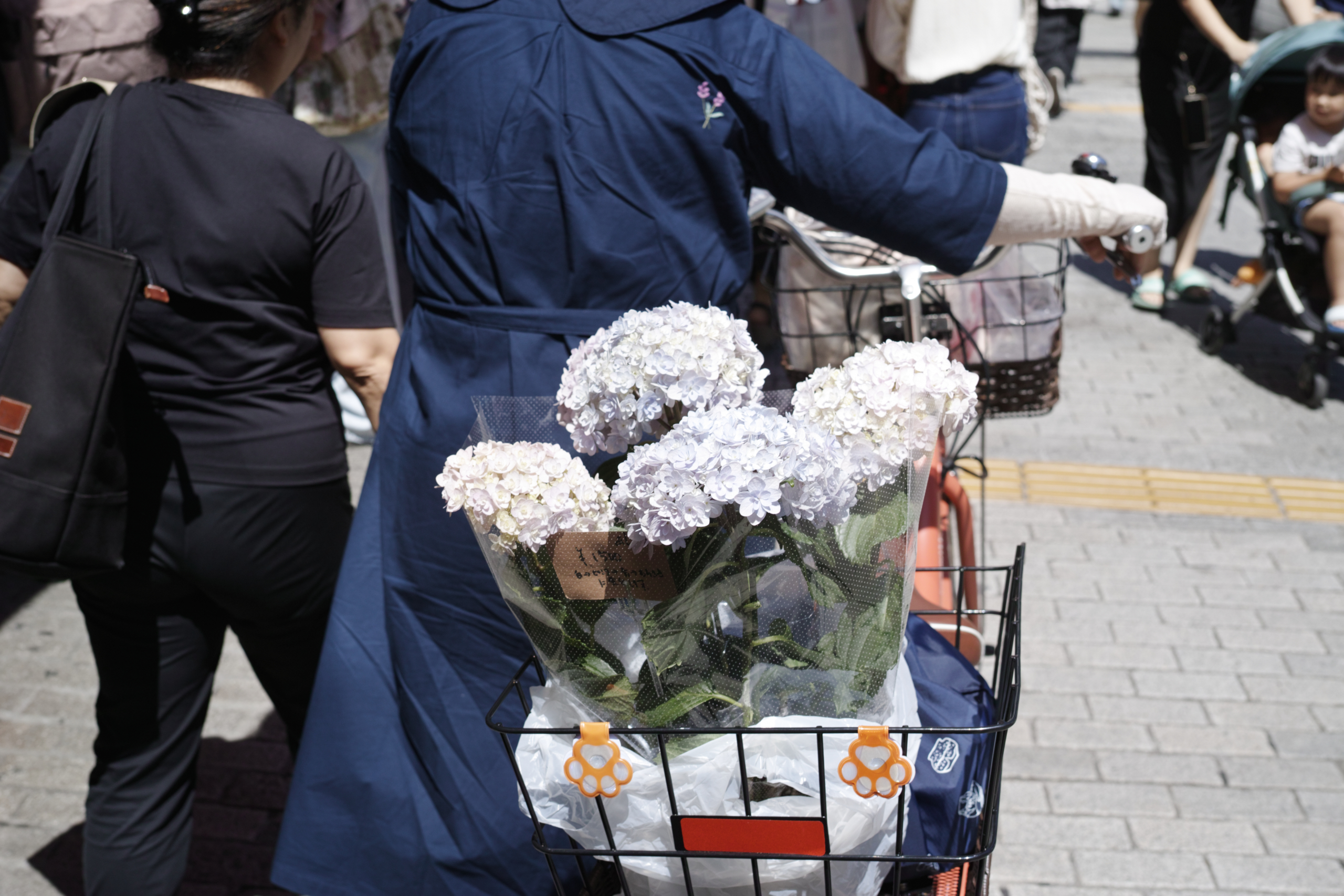 Yotsuya, Yurakucho, Shinjuku_Img