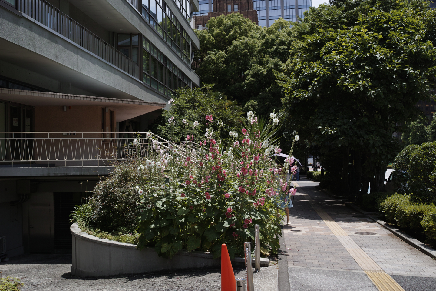 Shinanomachi, Akasaka, Nagatacho_Img