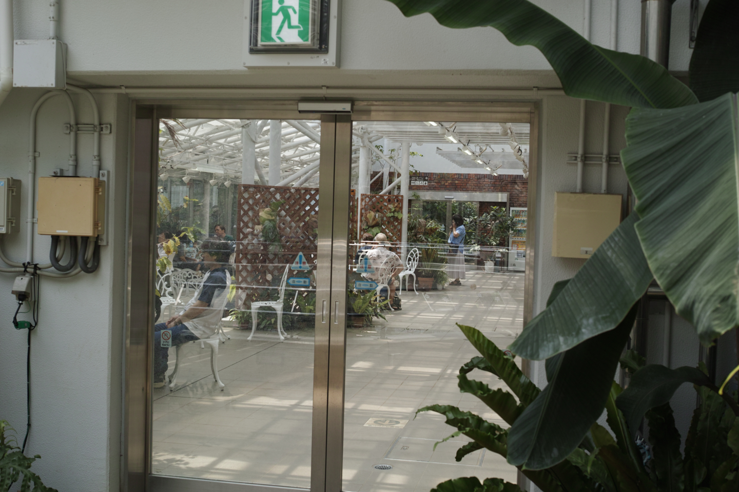 Jindaiji, Soshigaya, Shimo-Takaido_Img