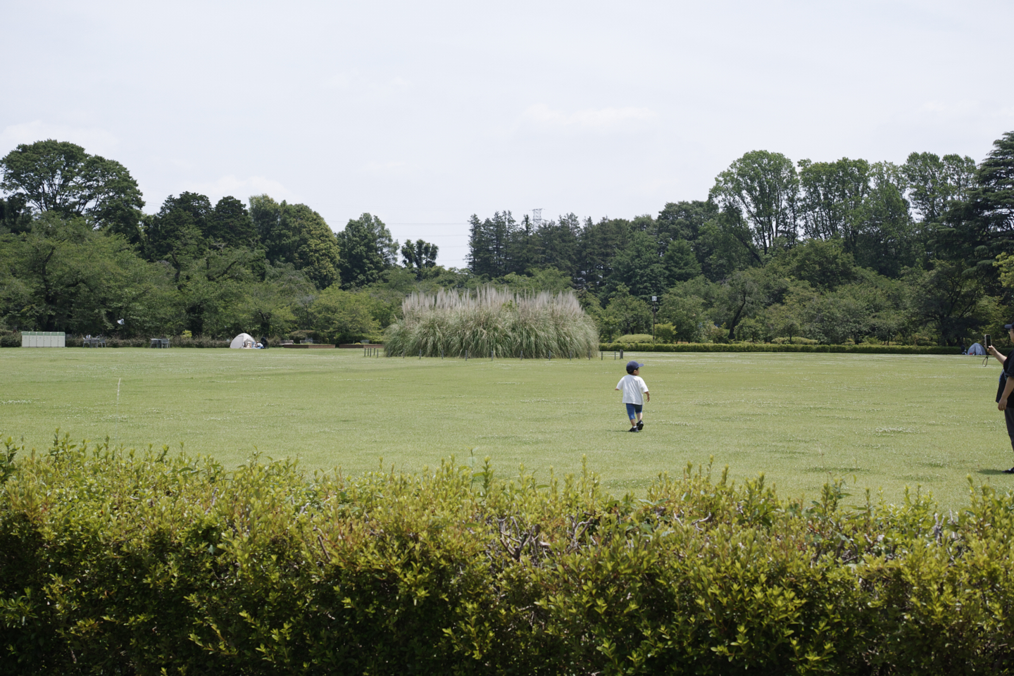 Jindaiji, Soshigaya, Shimo-Takaido_Img