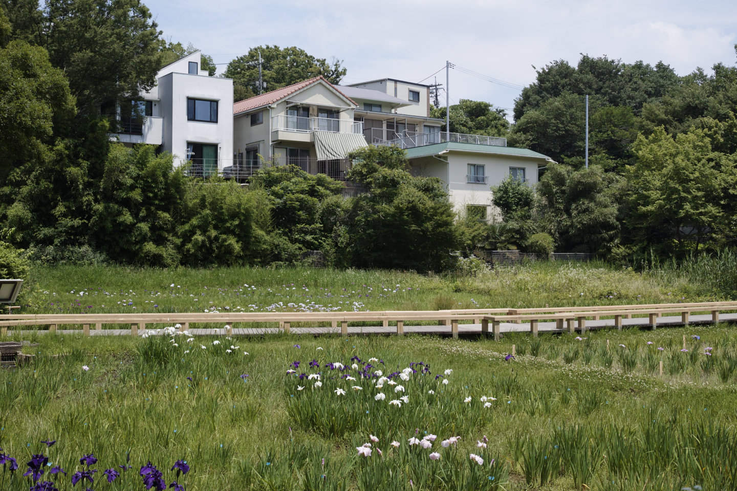 Jindaiji, Soshigaya, Shimo-Takaido_Img