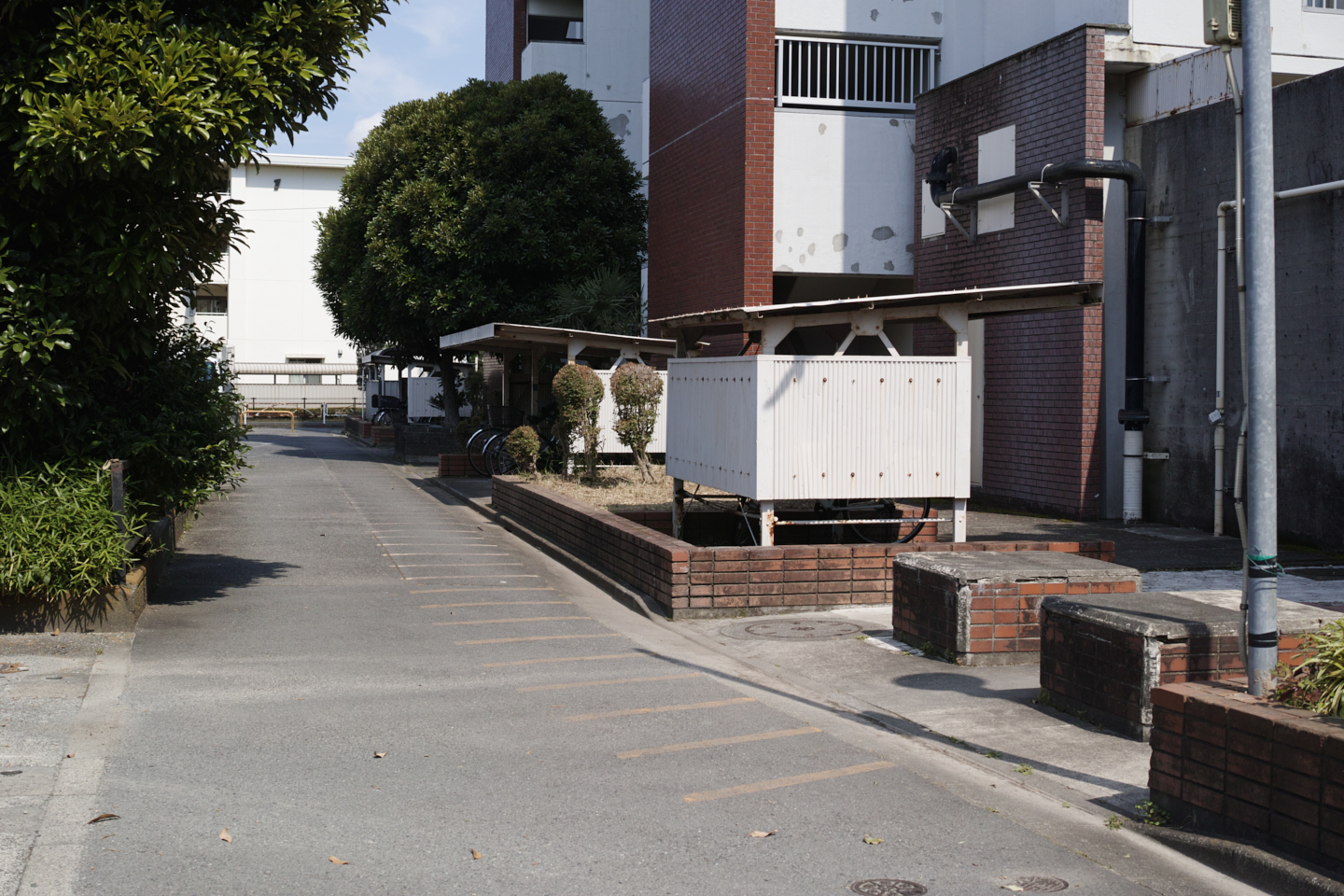 Jindaiji, Soshigaya, Shimo-Takaido_Img