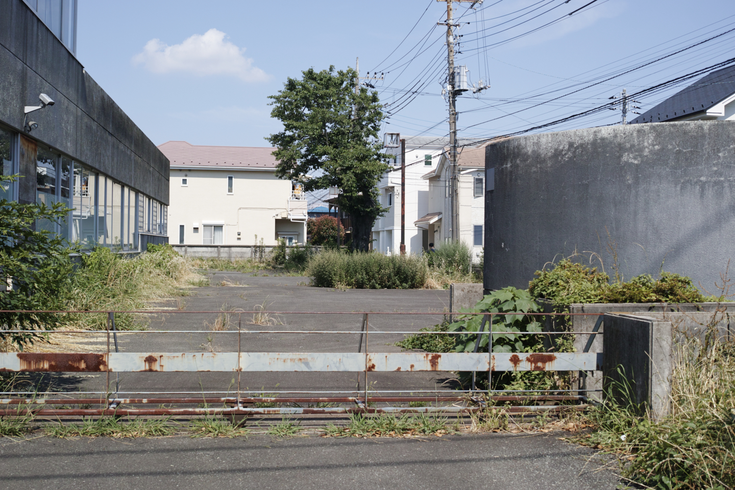 Jindaiji, Soshigaya, Shimo-Takaido_Img