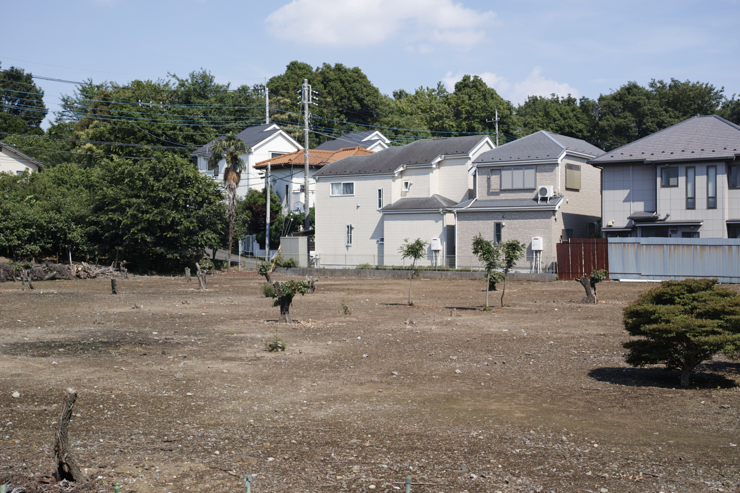 Jindaiji, Soshigaya, Shimo-Takaido_Img