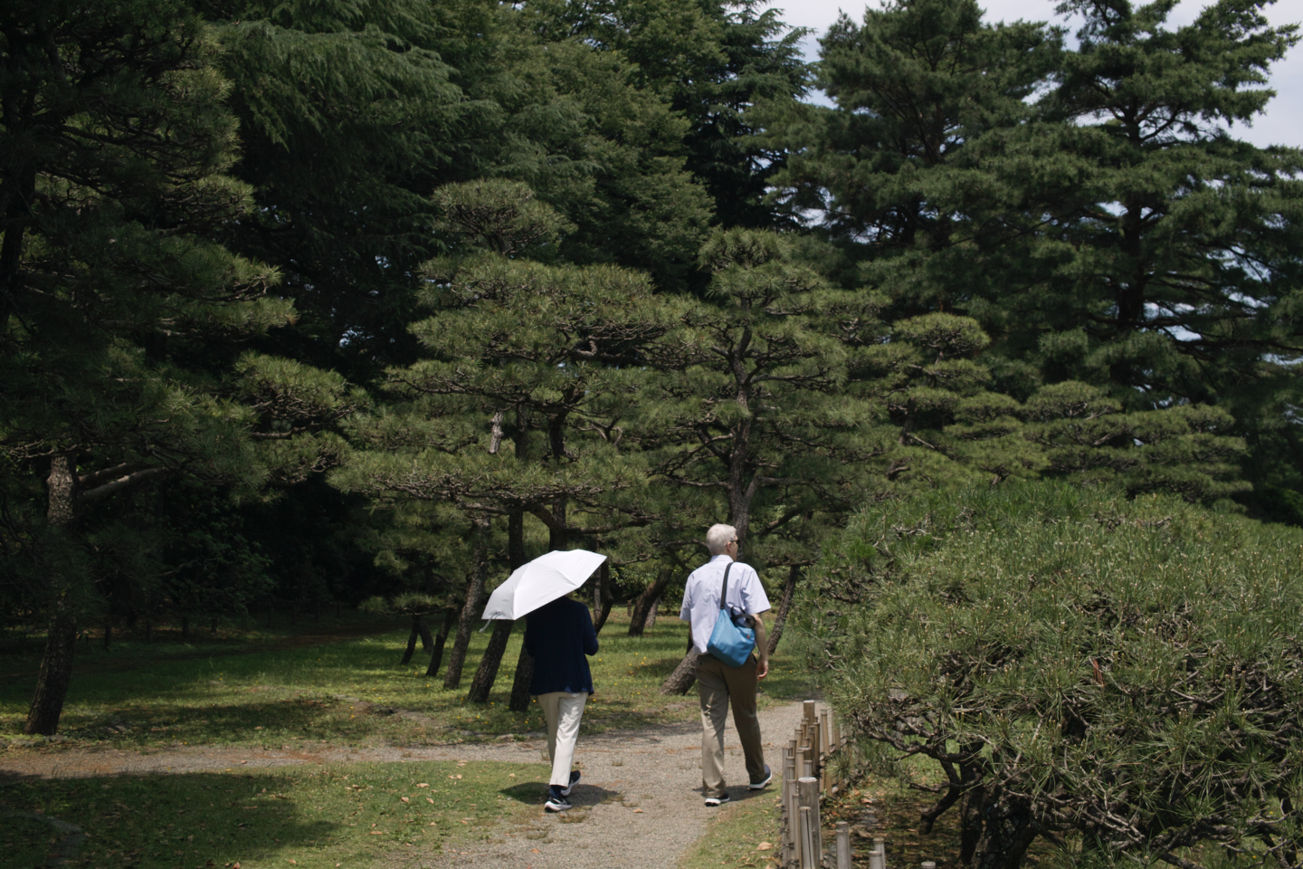 Jindaiji, Soshigaya, Shimo-Takaido_Img