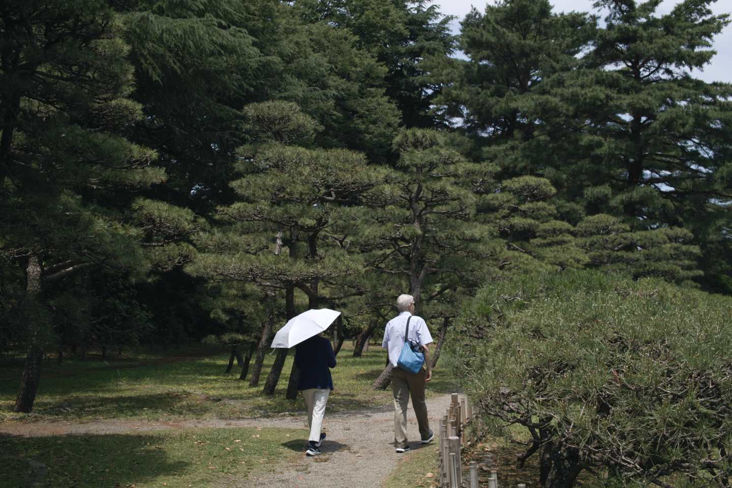 Jindaiji, Soshigaya, Shimo-Takaido_Img