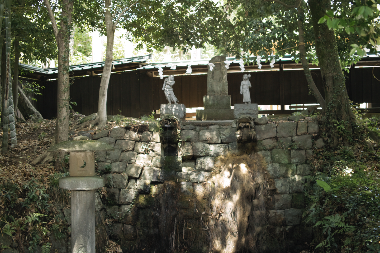 Jindaiji, Soshigaya, Shimo-Takaido_Img